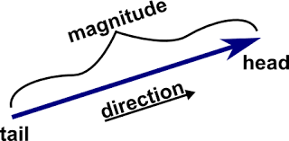 7th GRADE SCIENCE : Article 14 :   Escalar and vectorial magnitudes.  Forces and directions.