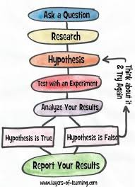 7th GRADE SCIENCE : Article 22 :  Scientific method.